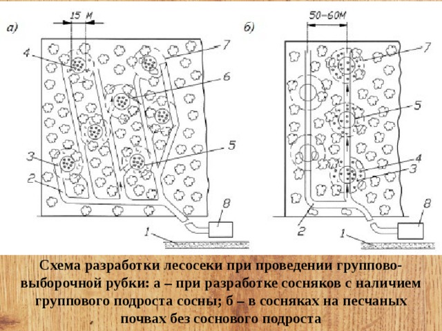 Схема отвода лесосек