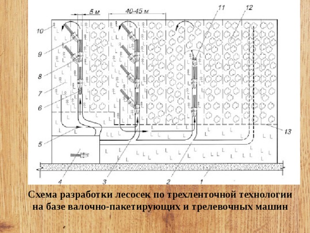 Разработка лесосеки схема