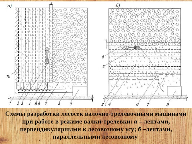 Технологическая карта лесосечных работ составляется на каждую лесосеку на основе данных