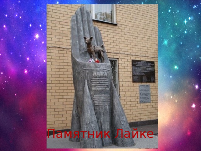 Памятник Лайке 