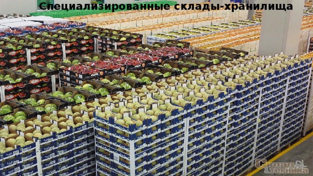 Специализированные склады-хранилища 