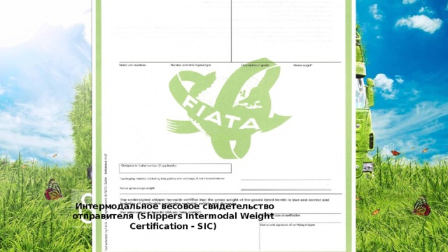   Интермодальное весовое свидетельство отправителя (Shippers Intermodal Weight Certification - SIC) 