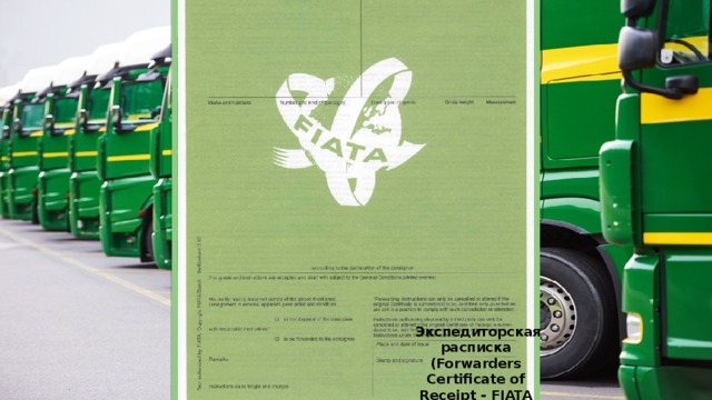   Экспедиторская расписка (Forwarders Certificate of Receipt - FIATA FCR) 