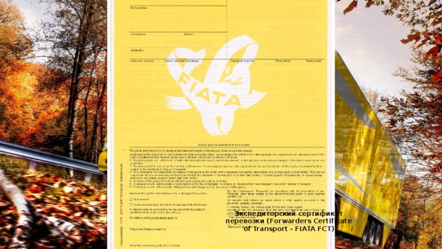 Экспедиторский сертификат перевозки (Forwarders Certificate of Transport - FIATA FCT ) 
