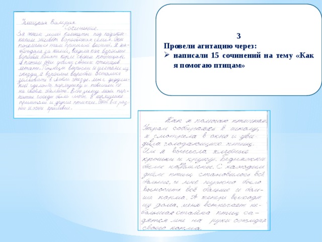 3 Провели агитацию через: написали 15 сочинений на тему «Как я помогаю птицам» 