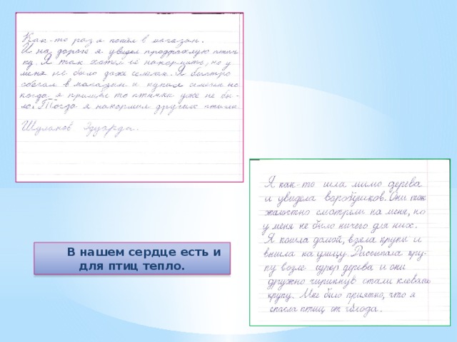 В нашем сердце есть и для птиц тепло. 