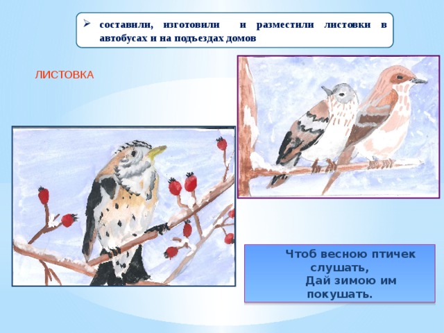 составили, изготовили и разместили листовки в автобусах и на подъездах домов ЛИСТОВКА Чтоб весною птичек слушать, Дай зимою им покушать. 