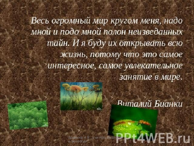 Этот большой мир автор