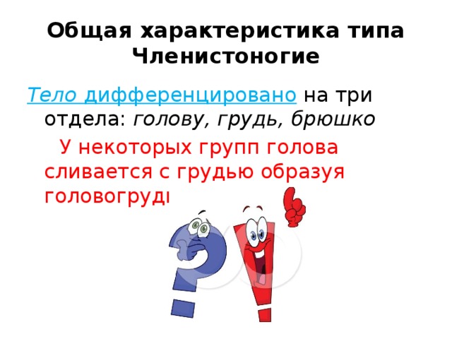 Общая характеристика типа Членистоногие Тело дифференцировано на три отдела: голову,  грудь,  брюшко  У некоторых групп голова сливается с грудью образуя головогрудь. 