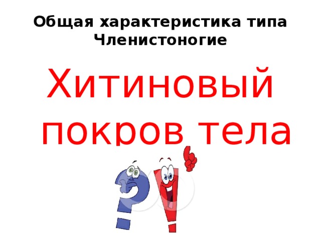Общая характеристика типа Членистоногие Хитиновый покров тела 