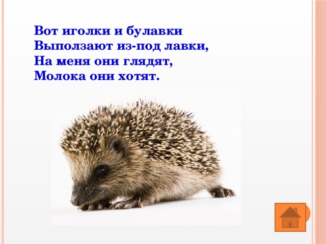 Вот иголки и Булавки выползают. Загадка вот иголки и Булавки. Стих вот иголки и Булавки. Вот иголки из под лавки на меня они глядят молока хотят.