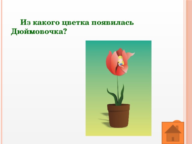 Какой цветок указывает. Из какого цветка появилась Дюймовочка. В каком цветке родилась Дюймовочка. Дюймовочка из какого цветка появилась Дюймовочка. Цветок в котором появилась Дюймовочка.