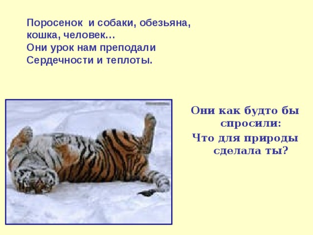 Поросенок и собаки, обезьяна, кошка, человек… Они урок нам преподали Сердечности и теплоты. Они как будто бы спросили: Что для природы сделала ты? 