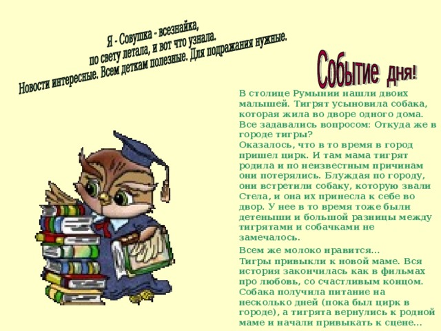 В столице Румынии нашли двоих малышей. Тигрят усыновила собака, которая жила во дворе одного дома.  Все задавались вопросом: Откуда же в городе тигры? Оказалось, что в то время в город пришел цирк. И там мама тигрят родила и по неизвестным причинам они потерялись. Блуждая по городу, они встретили собаку, которую звали Стела, и она их принесла к себе во двор. У нее в то время тоже были детеныши и большой разницы между тигрятами и собачками не замечалось.  Всем же молоко нравится...  Тигры привыкли к новой маме. Вся история закончилась как в фильмах про любовь, со счастливым концом.  Собака получила питание на несколько дней (пока был цирк в городе), а тигрята вернулись к родной маме и начали привыкать к сцене... 