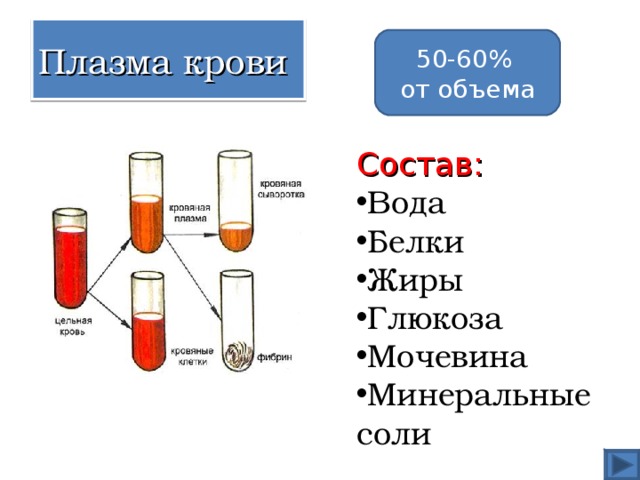 Плазма крови 50-60% от объема Состав: Вода Белки Жиры Глюкоза Мочевина Минеральные соли 