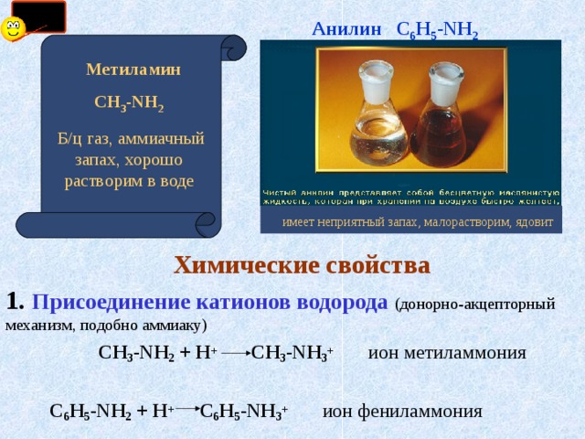 Анилин   С 6 Н 5 - NH 2  Метиламин  СН 3 - NH 2   Б/ц газ, аммиачный запах, хорошо растворим в воде имеет неприятный запах, малорастворим, ядовит  Химические свойства 1. Присоединение катионов водорода (донорно-акцепторный механизм, подобно аммиаку)  СН 3 - NH 2 + Н +   СН 3 - NH 3 + ион метиламмония   С 6 Н 5 - NH 2 + Н +   С 6 Н 5 - NH 3 +  ион фениламмония 