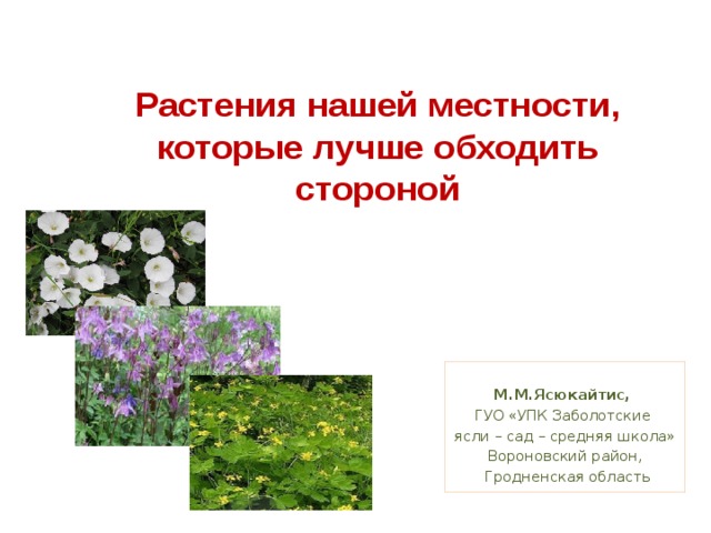 Растительность нашей местности предлагать способ. Растения нашей местности. Растения в нашей школе. Травы нашей местности. Растения нашей страны.