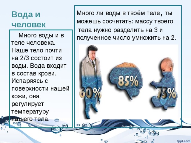 Вода и человек Много ли воды в твоём теле , ты можешь сосчитать: массу твоего  тела нужно разделить на 3 и полученное число умножить на 2.  Много воды и в теле человека. Наше тело почти на 2/3 состоит из воды. Вода входит в состав крови. Испаряясь с поверхности нашей кожи, она регулирует температуру нашего тела. 