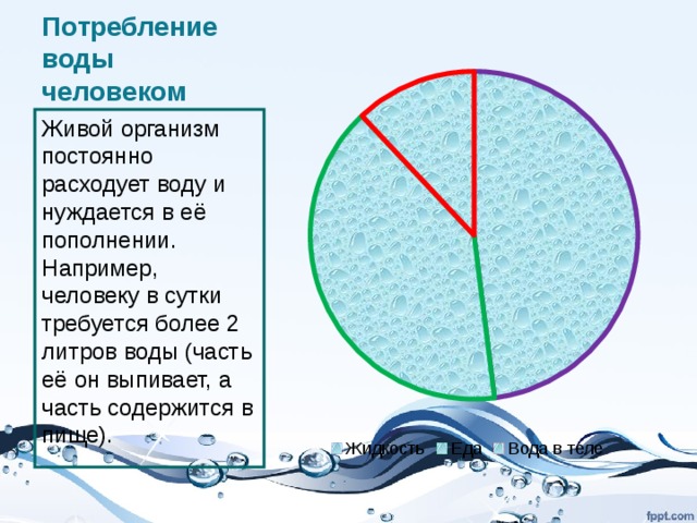 Потребление воды человеком Живой организм постоянно расходует воду и нуждается в её пополнении. Например, человеку в сутки требуется более 2 литров воды (часть её он выпивает, а часть содержится в пище). 