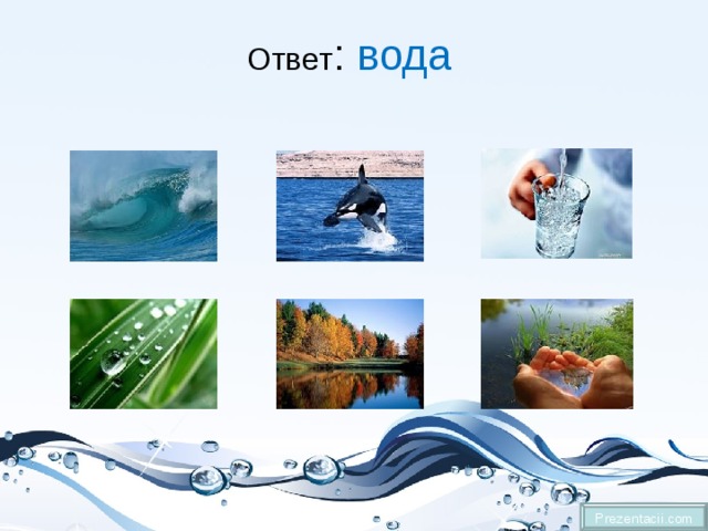Ответ : вода Prezentacii.com 
