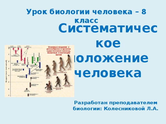 Урок биологии человека – 8 класс Систематическое положение человека Разработан преподавателем биологии: Колесниковой Л.А. 