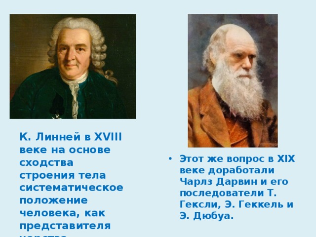 К. Линней в XVIII веке на основе сходства строения тела систематическое положение человека, как представителя царства животных. Этот же вопрос в XIX веке доработали Чарлз Дарвин и его последователи Т. Гексли, Э. Геккель и Э. Дюбуа. 