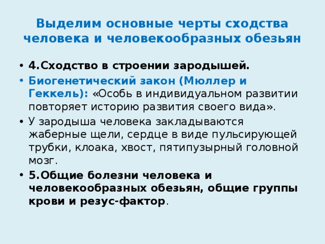 Выделим основные черты сходства человека и человекообразных обезьян 4.  Сходство в строении зародышей. Биогенетический закон (Мюллер и Геккель): «Особь в индивидуальном развитии повторяет историю развития своего вида». У зародыша человека закладываются жаберные щели, сердце в виде пульсирующей трубки, клоака, хвост, пятипузырный головной мозг. 5.  Общие болезни человека и человекообразных обезьян, общие группы крови и резус-фактор . 