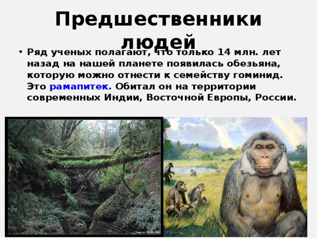 Предшественники людей Ряд ученых полагают, что только 14 млн. лет назад на нашей планете появилась обезьяна, которую можно отнести к семейству гоминид. Это рамапитек. Обитал он на территории современных Индии, Восточной Европы, России.   
