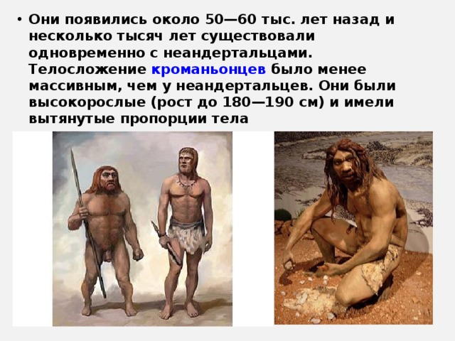 Они появились около 50—60 тыс. лет назад и несколько тысяч лет существовали одновременно с неандертальцами. Телосложение кроманьонцев было менее массивным, чем у неандертальцев. Они были высокорослые (рост до 180—190 см) и имели вытянутые пропорции тела  
