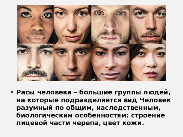 Расы человека – большие группы людей, на которые подразделяется вид Человек разумный по общим, наследственным, биологическим особенностям: строение лицевой части черепа, цвет кожи.  