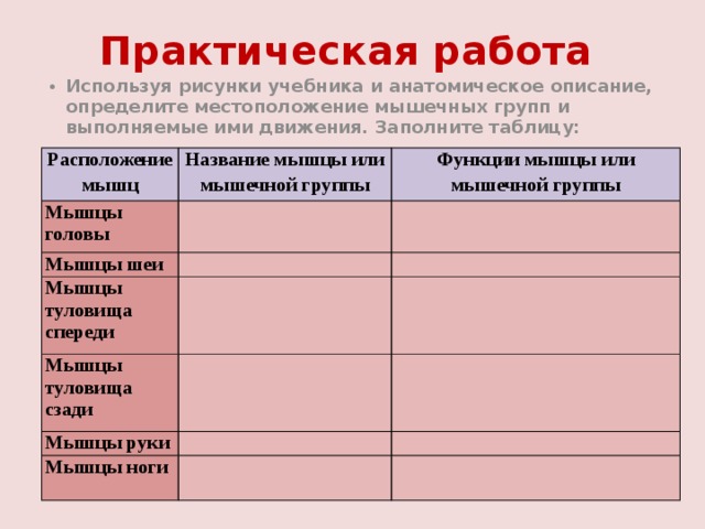 Практическая работа Используя рисунки учебника и анатомическое описание, определите местоположение мышечных групп и выполняемые ими движения. Заполните таблицу: Расположение мышц Название мышцы или мышечной группы Мышцы головы Функции мышцы или мышечной группы   Мышцы шеи     Мышцы туловища спереди Мышцы туловища сзади       Мышцы руки       Мышцы ноги       