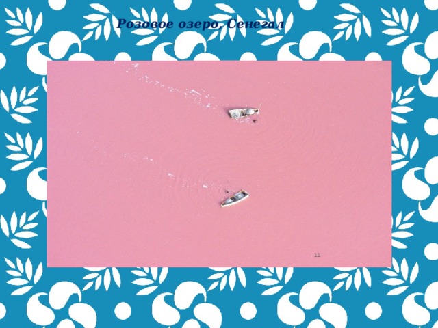 Розовое озеро, Сенегал  