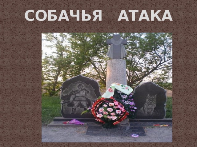 СОБАЧЬЯ АТАКА