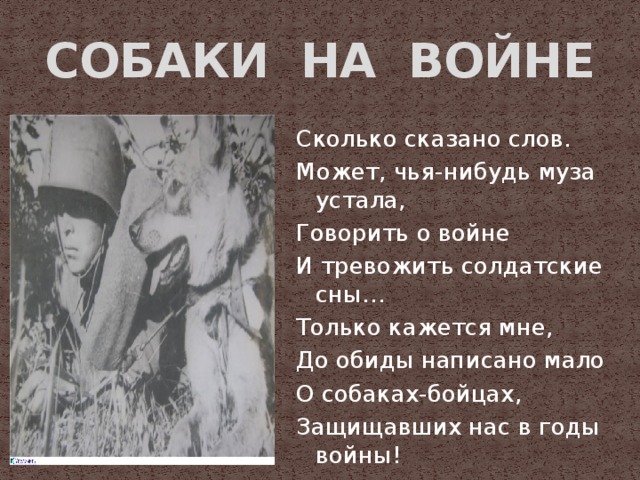 СОБАКИ НА ВОЙНЕ Сколько сказано слов. Может, чья-нибудь муза устала, Говорить о войне И тревожить солдатские сны… Только кажется мне, До обиды написано мало О собаках-бойцах, Защищавших нас в годы войны!