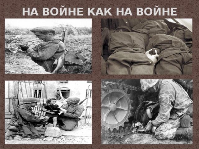 НА ВОЙНЕ КАК НА ВОЙНЕ