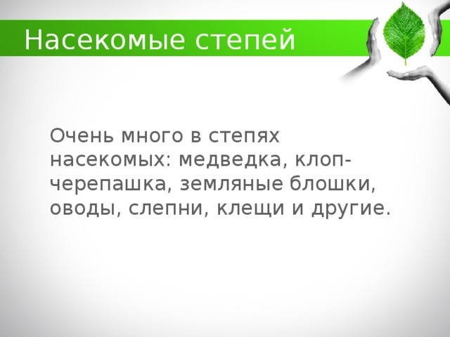 какие животные обитают в кбр. Смотреть фото какие животные обитают в кбр. Смотреть картинку какие животные обитают в кбр. Картинка про какие животные обитают в кбр. Фото какие животные обитают в кбр