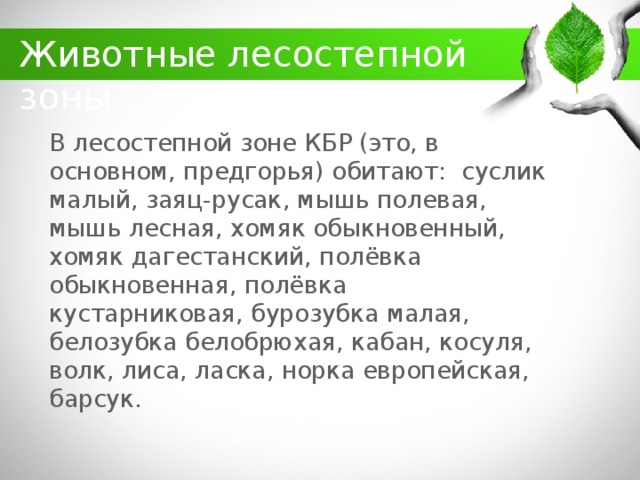 какие животные обитают в кбр. Смотреть фото какие животные обитают в кбр. Смотреть картинку какие животные обитают в кбр. Картинка про какие животные обитают в кбр. Фото какие животные обитают в кбр