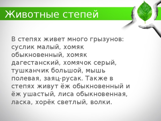 какие животные обитают в кбр. Смотреть фото какие животные обитают в кбр. Смотреть картинку какие животные обитают в кбр. Картинка про какие животные обитают в кбр. Фото какие животные обитают в кбр
