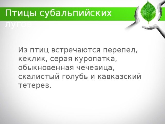 какие животные обитают в кбр. Смотреть фото какие животные обитают в кбр. Смотреть картинку какие животные обитают в кбр. Картинка про какие животные обитают в кбр. Фото какие животные обитают в кбр