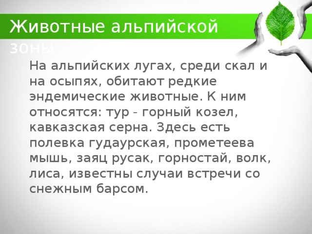 какие животные обитают в кбр. Смотреть фото какие животные обитают в кбр. Смотреть картинку какие животные обитают в кбр. Картинка про какие животные обитают в кбр. Фото какие животные обитают в кбр