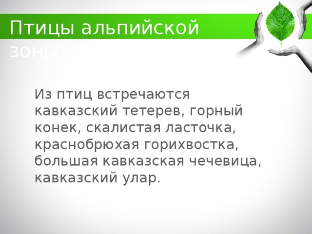 какие животные обитают в кбр. Смотреть фото какие животные обитают в кбр. Смотреть картинку какие животные обитают в кбр. Картинка про какие животные обитают в кбр. Фото какие животные обитают в кбр