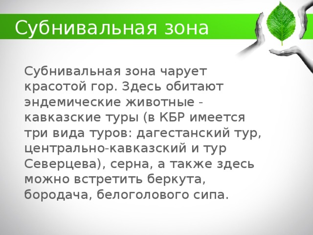 какие животные обитают в кбр. Смотреть фото какие животные обитают в кбр. Смотреть картинку какие животные обитают в кбр. Картинка про какие животные обитают в кбр. Фото какие животные обитают в кбр
