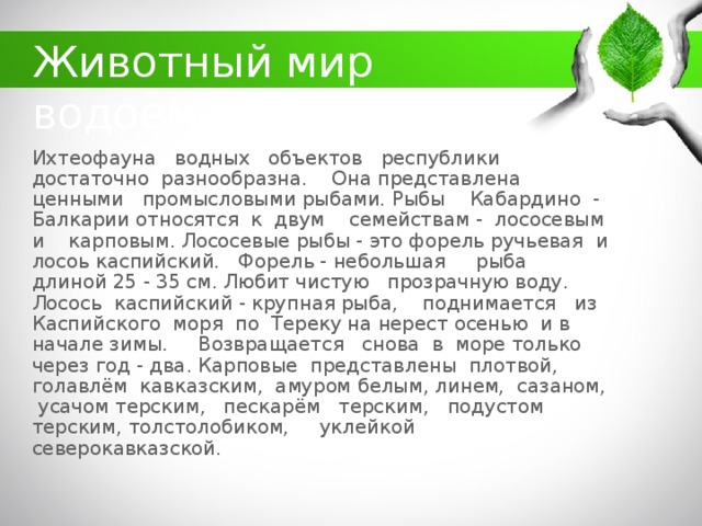 какие животные обитают в кбр. Смотреть фото какие животные обитают в кбр. Смотреть картинку какие животные обитают в кбр. Картинка про какие животные обитают в кбр. Фото какие животные обитают в кбр