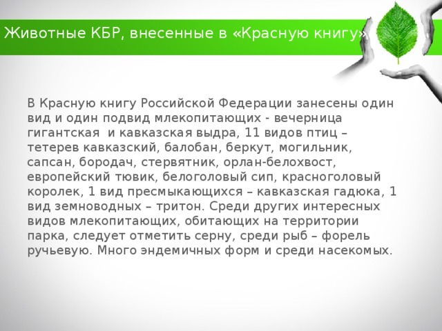 какие животные обитают в кбр. Смотреть фото какие животные обитают в кбр. Смотреть картинку какие животные обитают в кбр. Картинка про какие животные обитают в кбр. Фото какие животные обитают в кбр