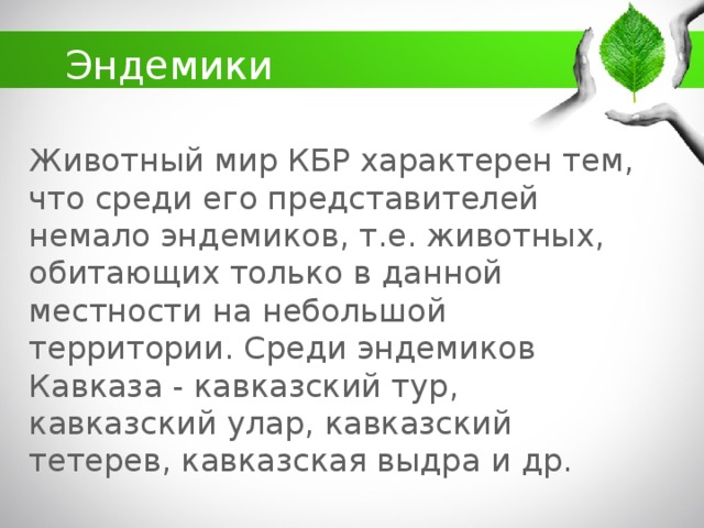 какие животные обитают в кбр. Смотреть фото какие животные обитают в кбр. Смотреть картинку какие животные обитают в кбр. Картинка про какие животные обитают в кбр. Фото какие животные обитают в кбр