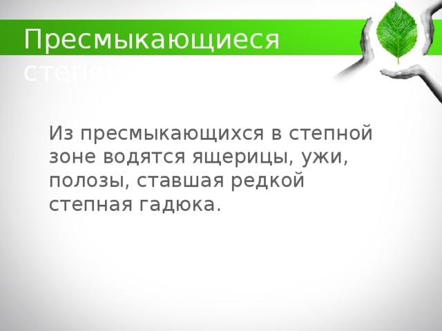 какие животные обитают в кбр. Смотреть фото какие животные обитают в кбр. Смотреть картинку какие животные обитают в кбр. Картинка про какие животные обитают в кбр. Фото какие животные обитают в кбр