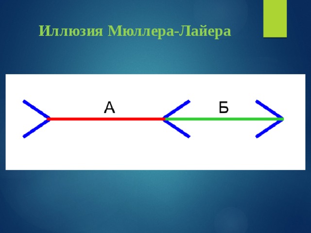 Иллюзия Мюллера-Лайера   