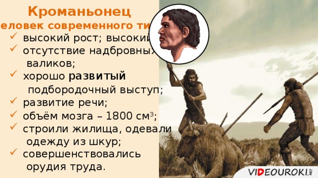 Кроманьонец  (человек современного типа)  высокий рост;  высокий лоб;  отсутствие надбровных  валиков;  хорошо развитый  подбородочный выступ;  развитие речи;  объём мозга – 1800 см 3 ;  строили жилища, одевали  одежду из шкур;  совершенствовались  орудия труда. 