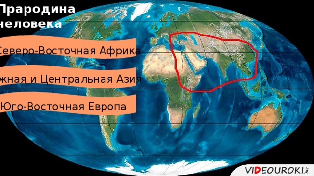 Прародина человека  Северо-Восточная Африка  Южная и Центральная Азия  Юго-Восточная Европа 