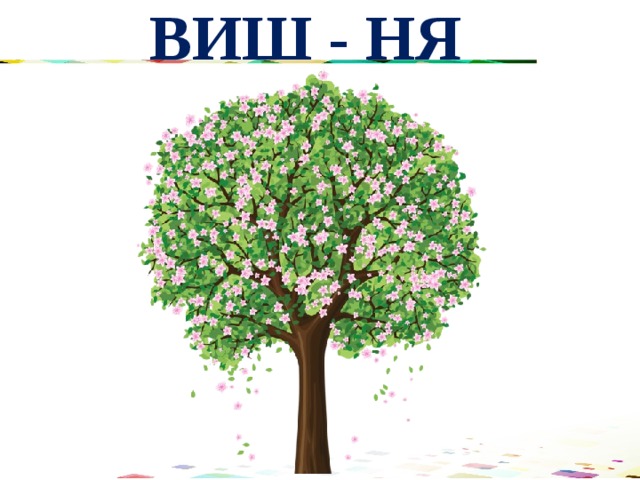 ВИШ - НЯ 